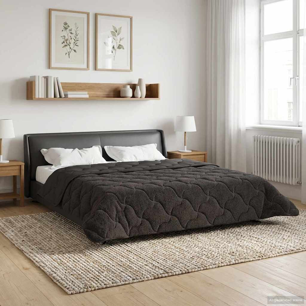vidaXL Sommerdecke Anthrazit 200 x 200 cm Mikrofaser und Teddy-Fleece