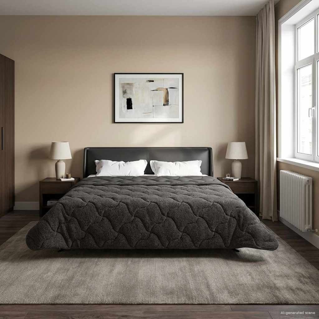 vidaXL Sommerdecke Anthrazit 220 x 240 cm Mikrofaser und Teddy-Fleece