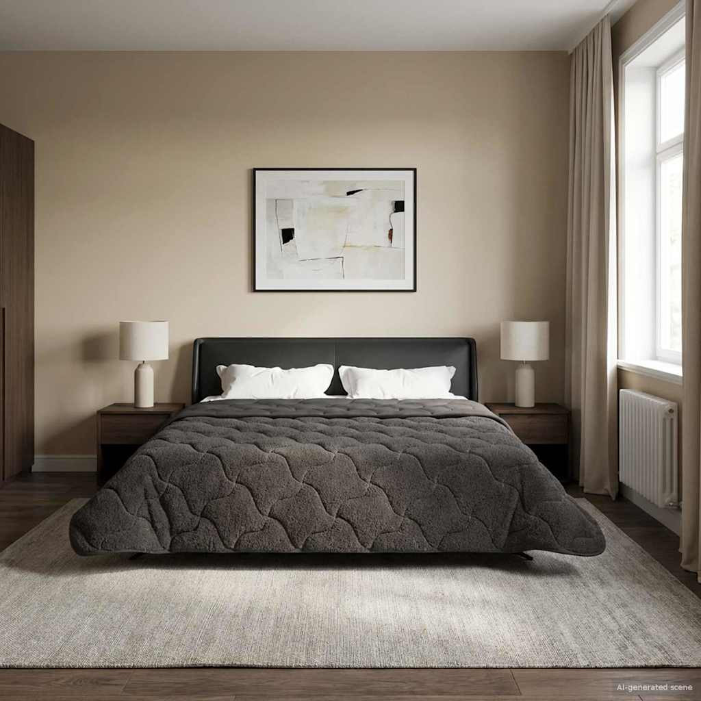 vidaXL Sommerdecke Anthrazit 220 x 260 cm Mikrofaser und Teddy-Fleece