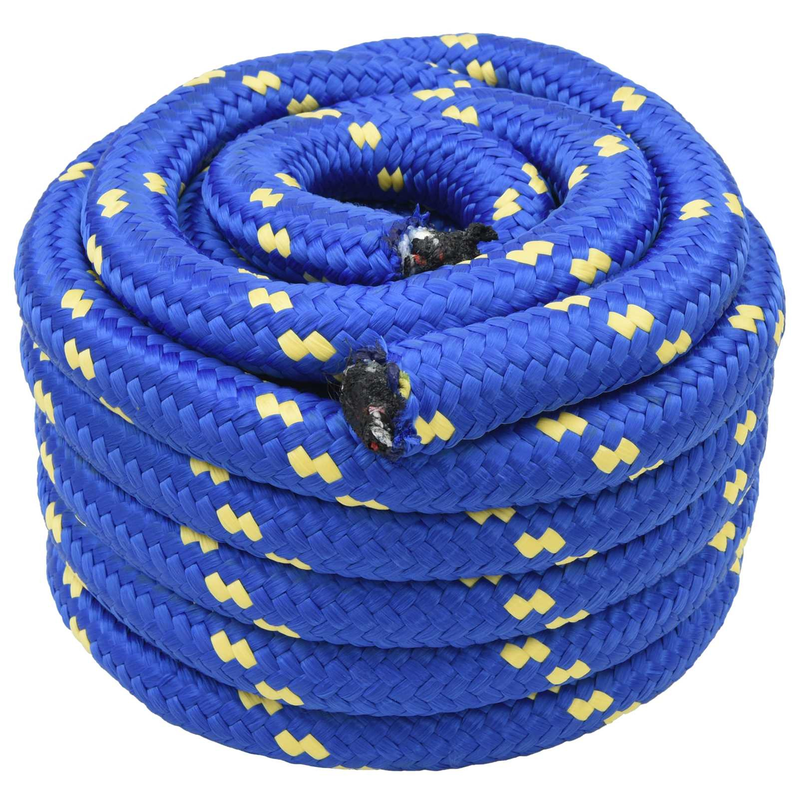 vidaXL Bootsseil 10 m 4 Blau PP