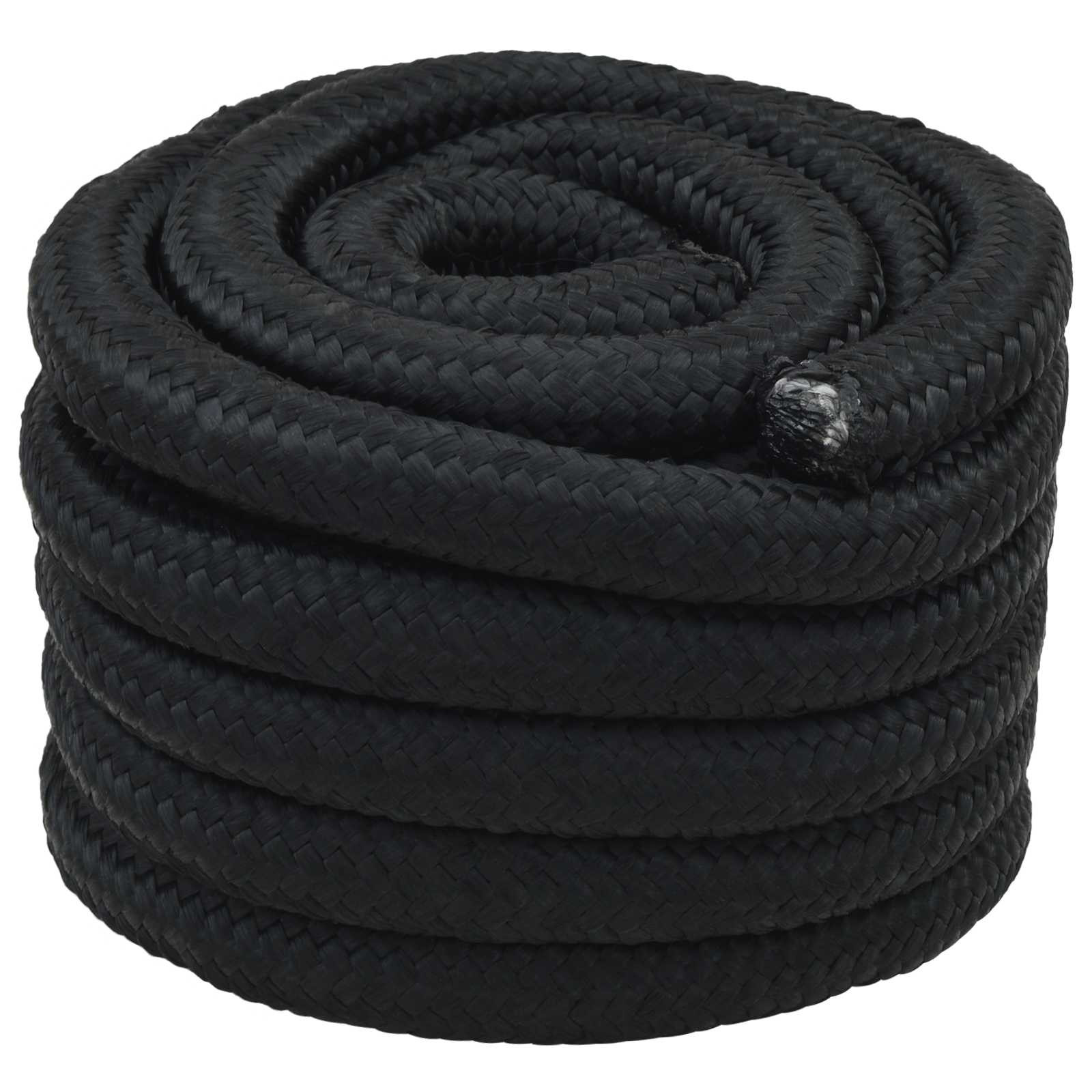 vidaXL Bootsseil 4 mm 10 m Schwarz