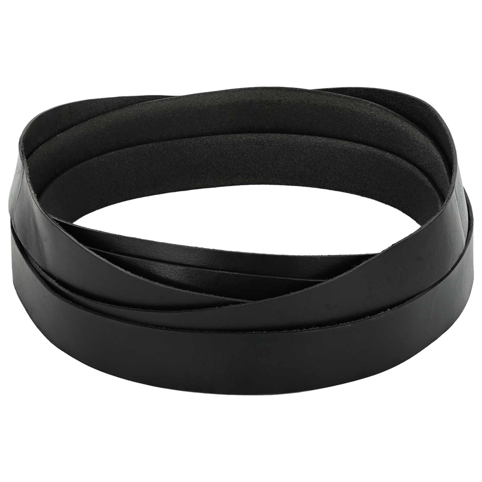 vidaXL Lederriemen Schwarz 500 x 3 cm Leder