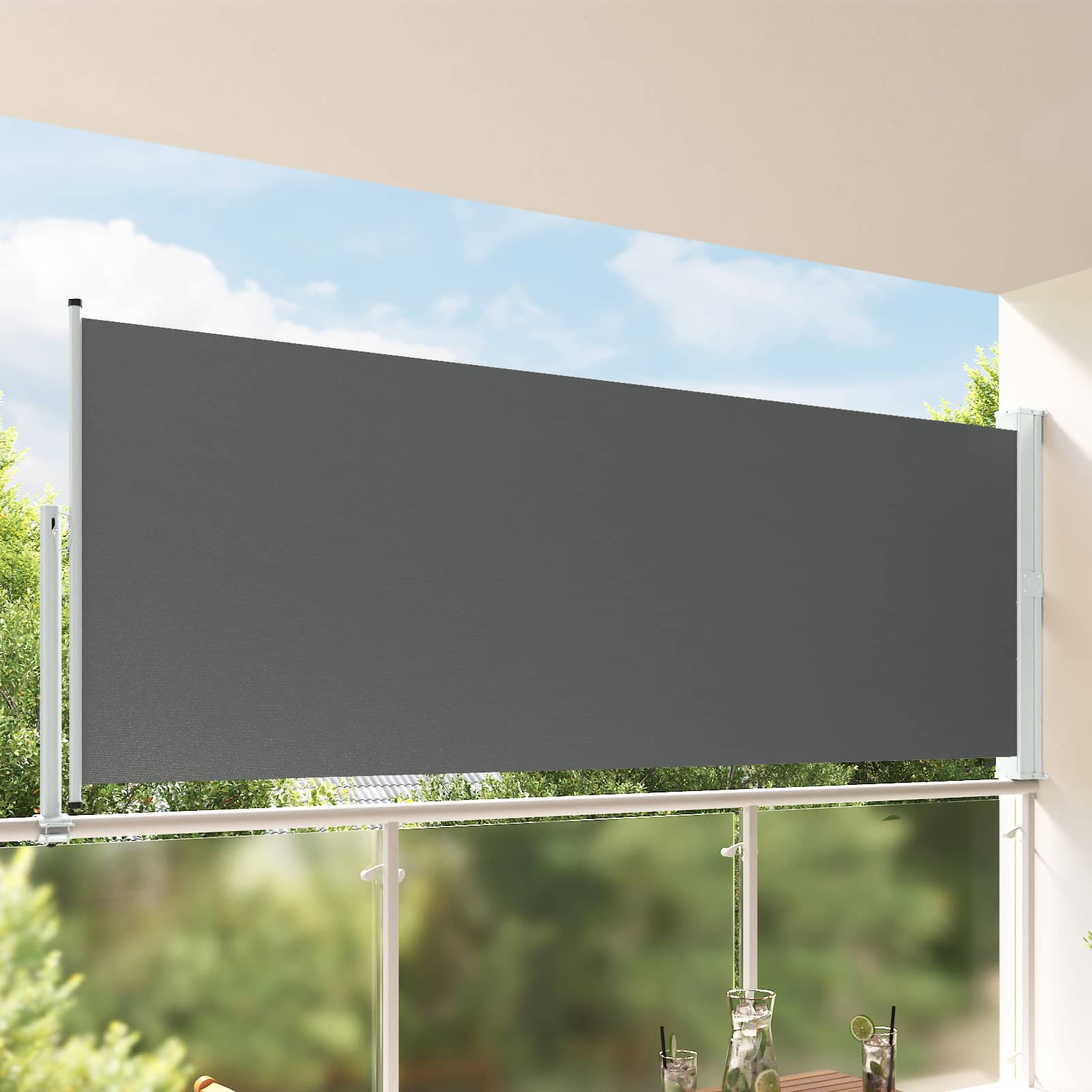 vidaXL Seitenmarkise 160 x 300 cm Rechtwinklig Anthrazit