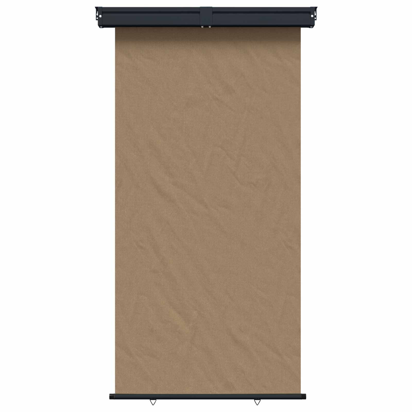 vidaXL Balkon Seitenmarkise 170 x 250 cm 100% Polyester Eisen Stahl