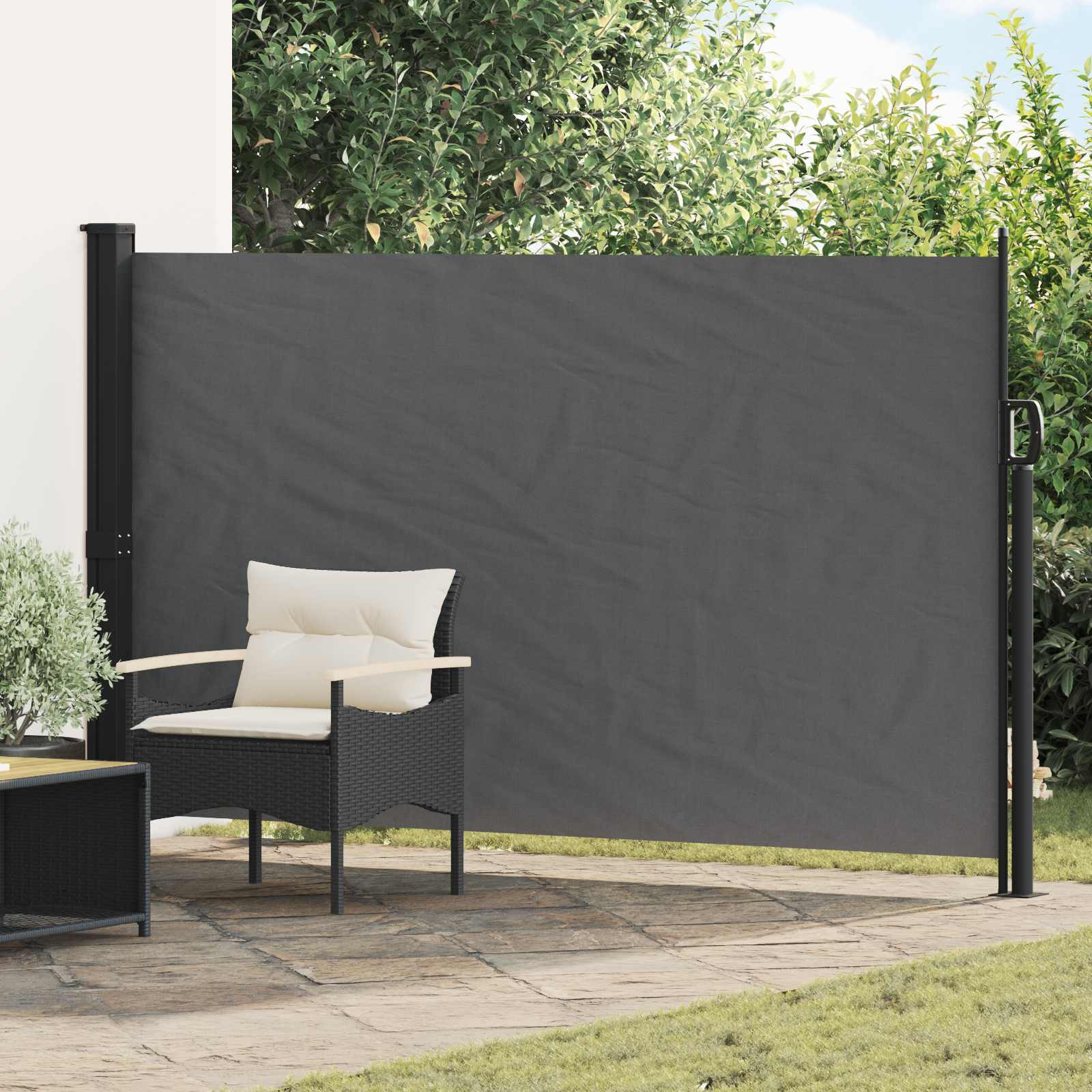 vidaXL Ausziehbares Seitenmarkise Anthrazit 300 x 170 cm Polyester
