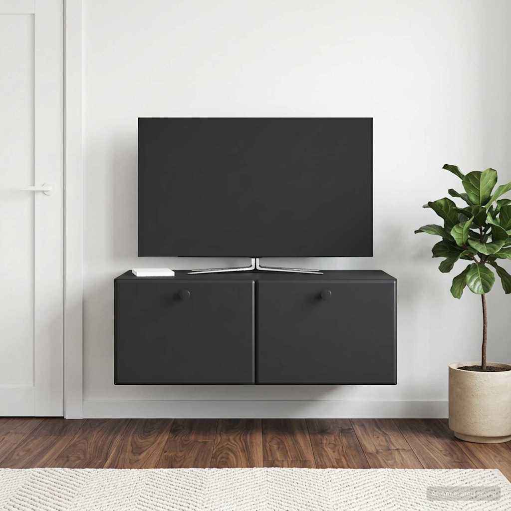 vidaXL Wandmontierter TV-Schrank 78,5 x 41 x 30 cm Schwarz