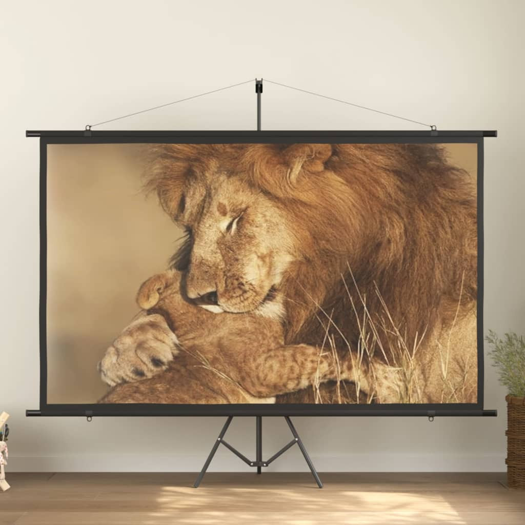 vidaXL Beamer Leinwand 108 16:9