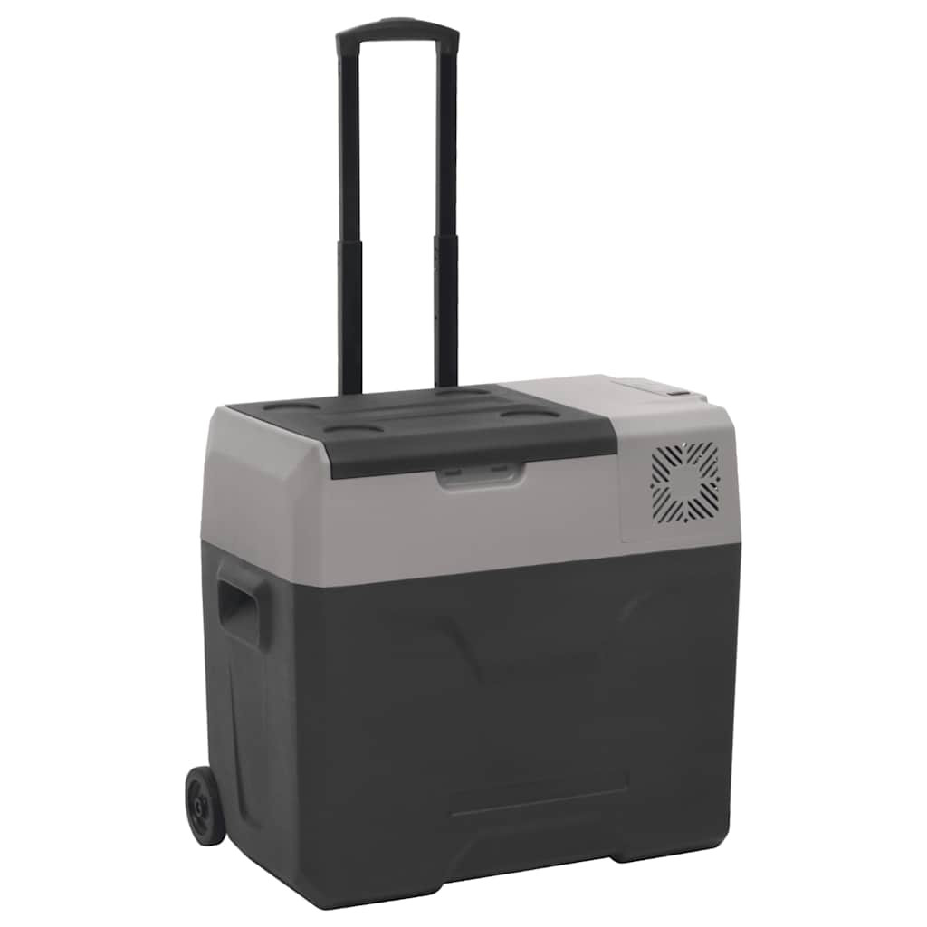 vidaXL Kühlbox mit Rollen und Griff Schwarz & Grau 40 L Polypropylen