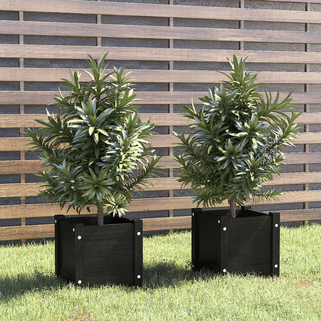 vidaXL Pflanzkübel 2 Stk. Schwarz 31x31x31 cm Massivholz Kiefer