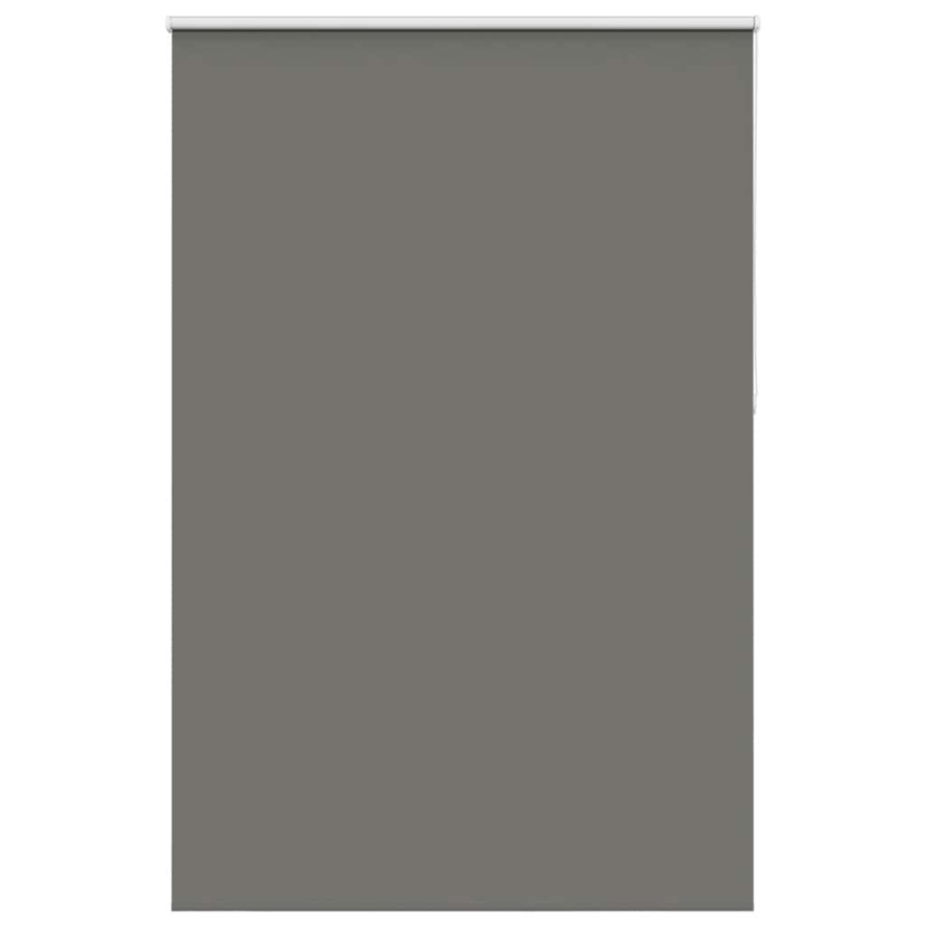 vidaXL Verdunkelungsrollo Grau 160x210cm Stoffbreite 156,6cm Polyester