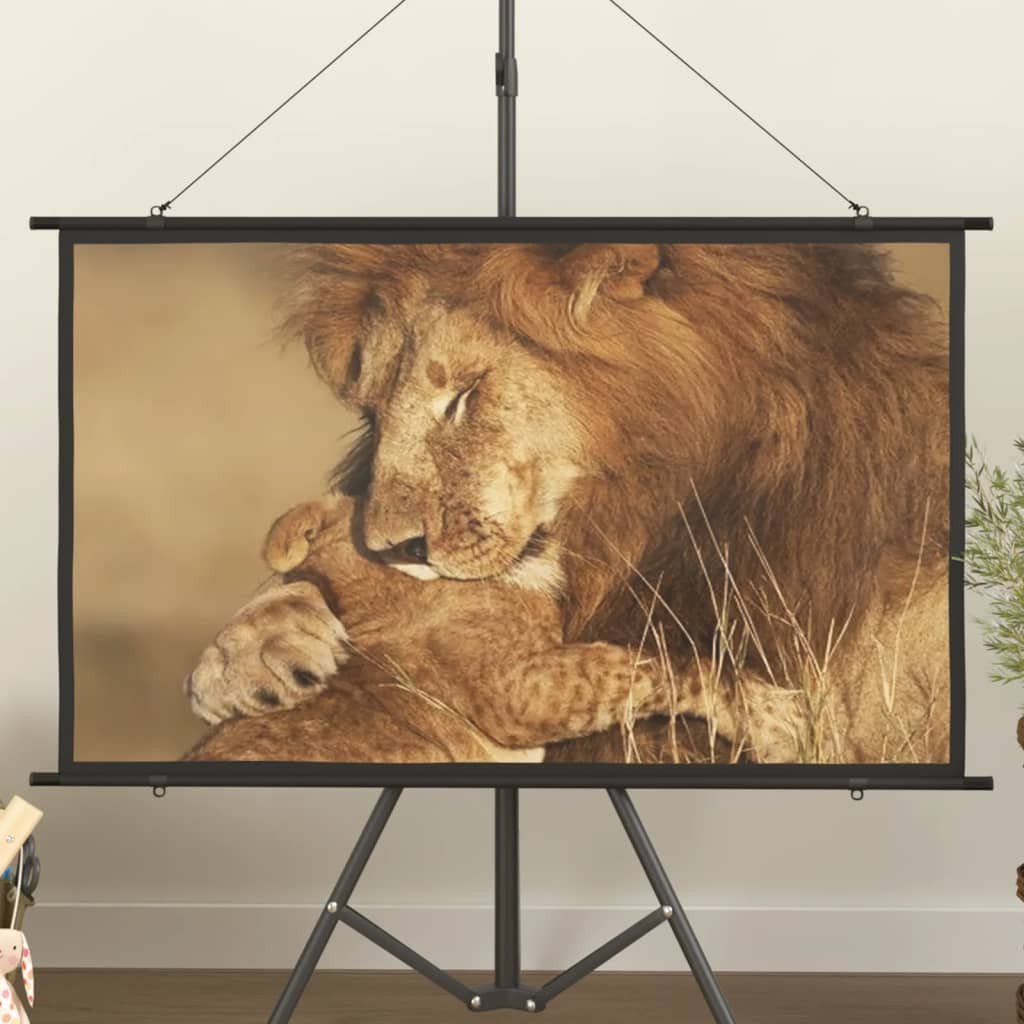 vidaXL Beamer Leinwand 50" 16:9