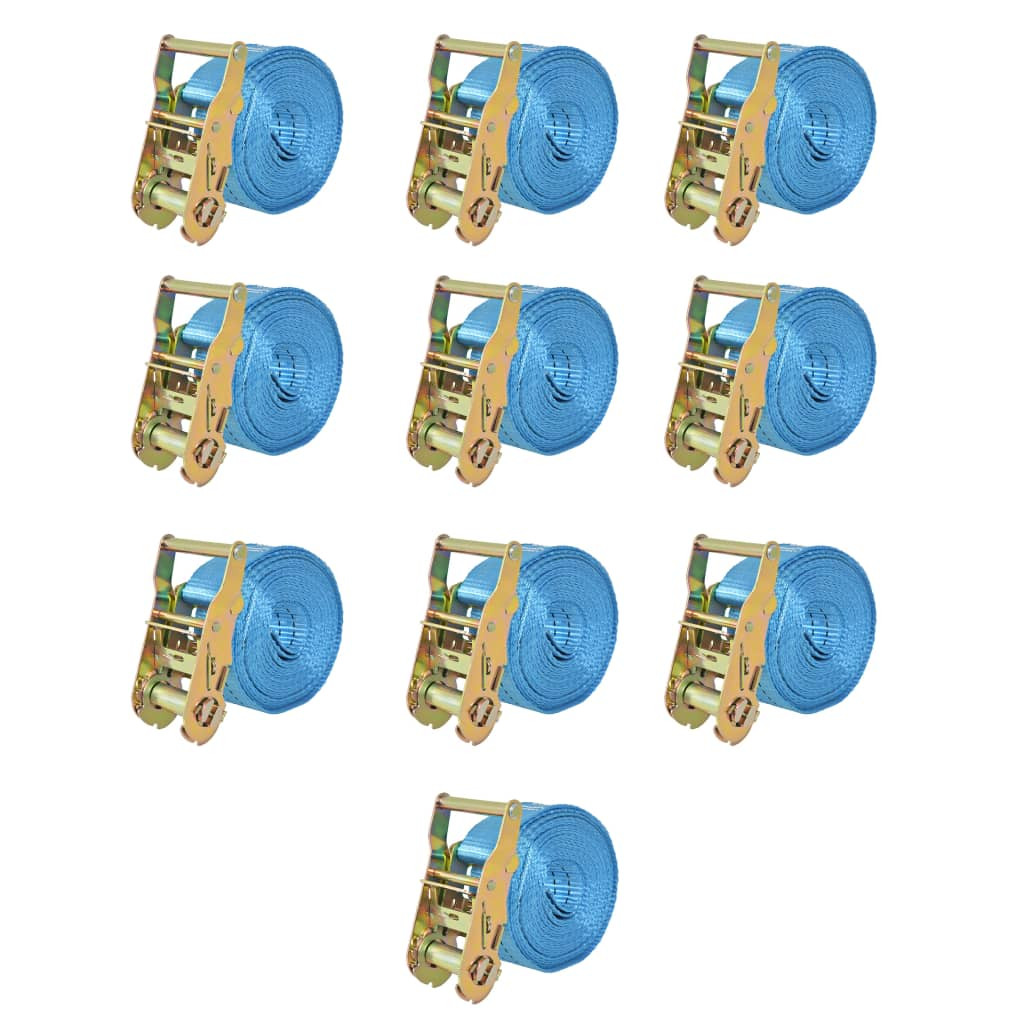 vidaXL Ratschen-Spanngurte 10 Stk. 2 Tonnen 6m×38mm Blau