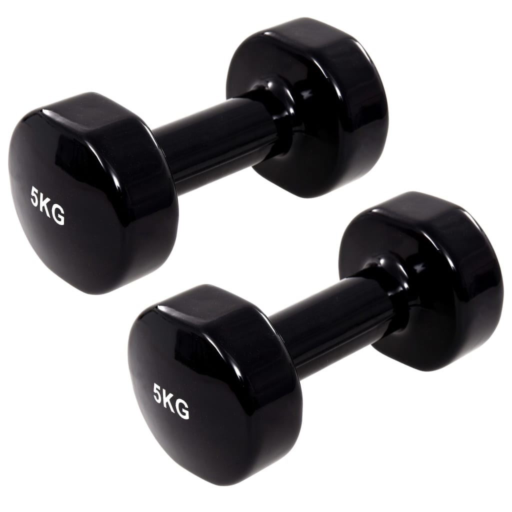 vidaXL Hanteln 2 Stk. 2x5 kg Gusseisen Schwarz