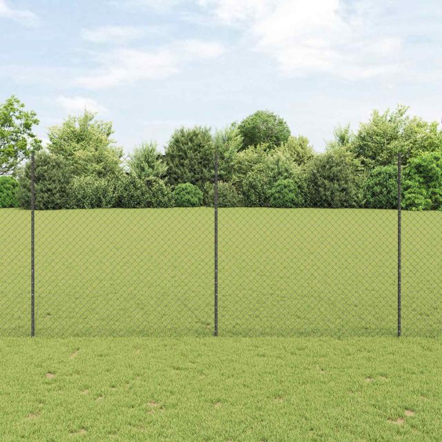 vidaXL Maschendrahtzaun mit Pfosten 10 x 1,6 m PVC-beschichteter Stahl