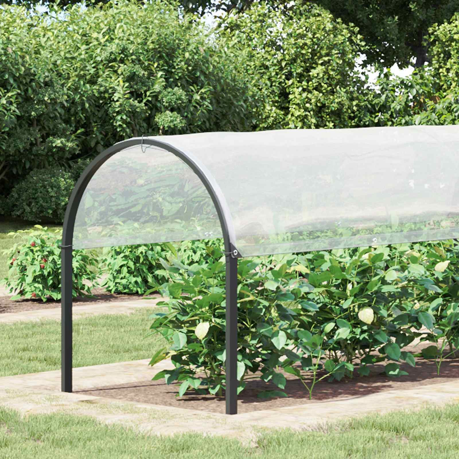 vidaXL Pflanzenabdeckung Transparent 2 x 12 m PE