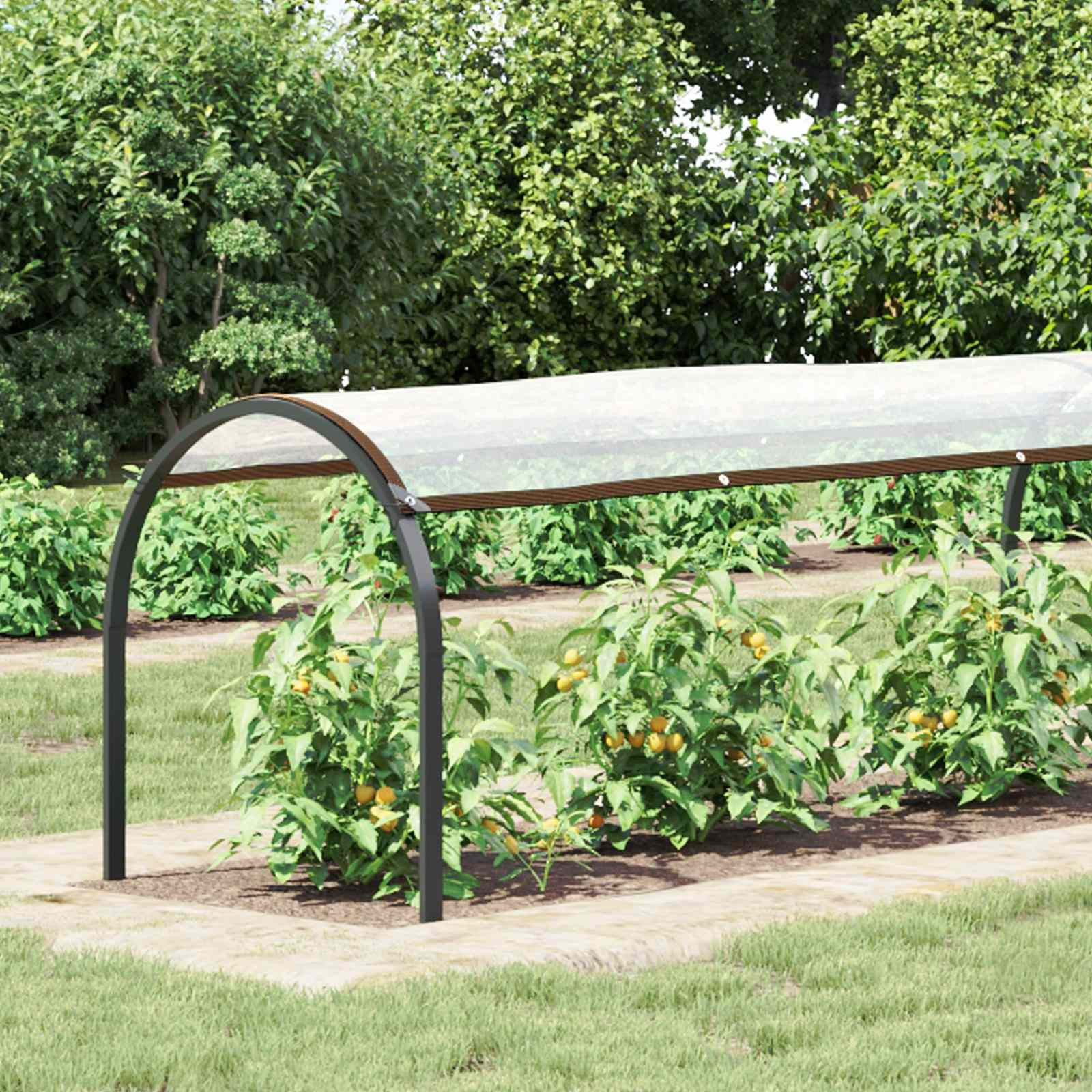 vidaXL Pflanzenabdeckung Transparent 20 x 1,5 m PE