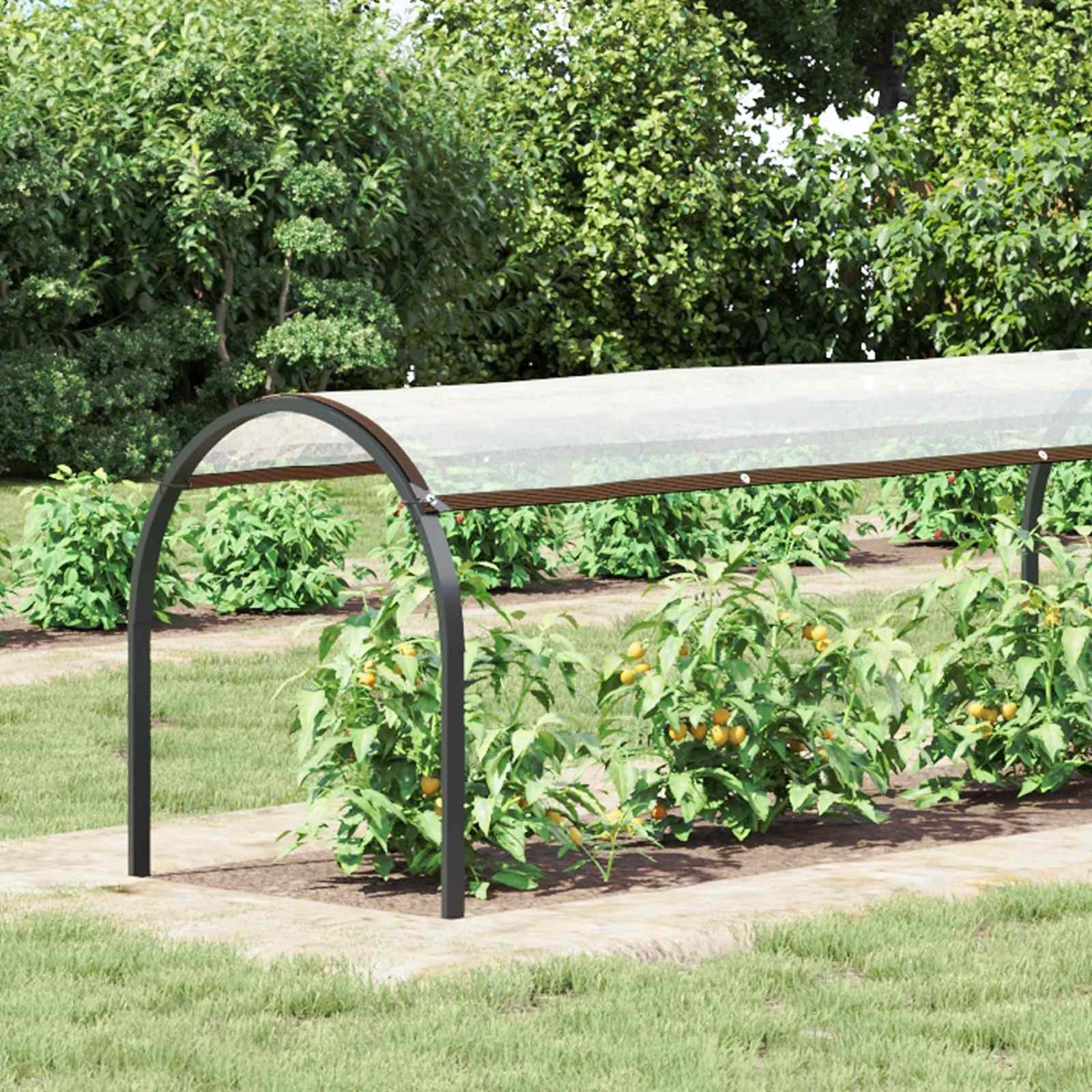 vidaXL Pflanzenabdeckung Transparent 2.5 x 1,5 m PE