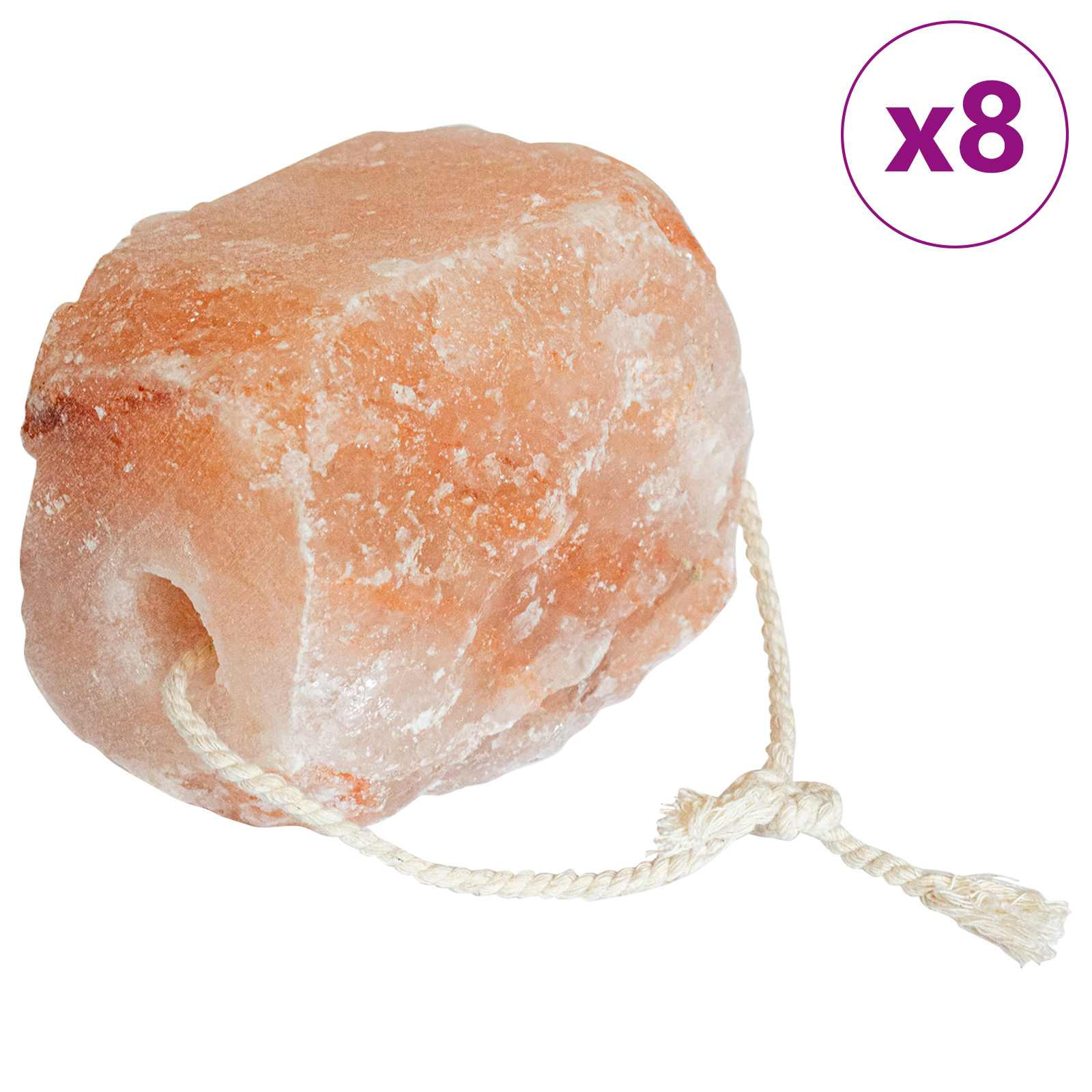 vidaXL Salzlecksteine Rosa Steinsalz