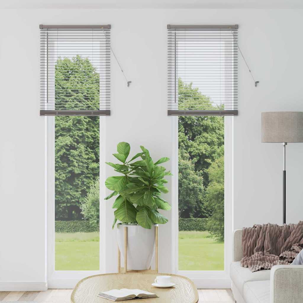 vidaXL Balkenjalousien Silber 220 x 55 cm Aluminium