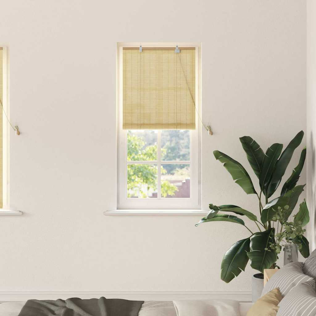 vidaXL Rollo Natur 60 x 160 cm Bambus