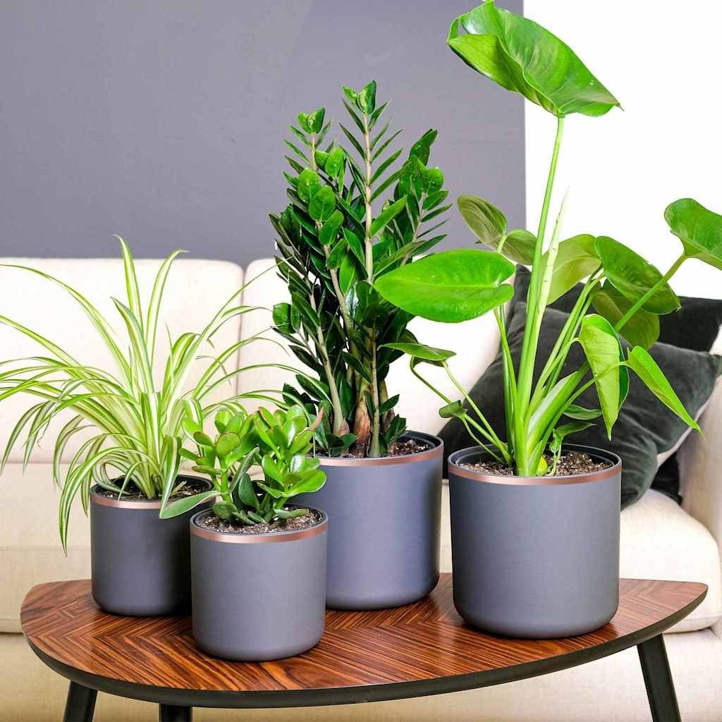 vidaXL Kupferband zum Schneckenschutz 6 pcs Kupfer 10 mm x 20 m Kupfer