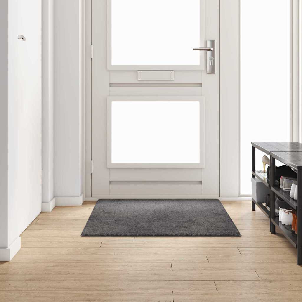 vidaXL Teppichläufer Grau 100 x 150 cm 100% Polypropylen Tuft