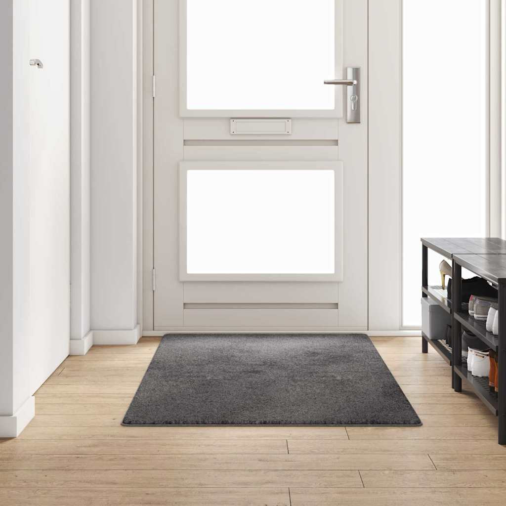vidaXL Teppichläufer Grau 100 x 200 cm 100% Polypropylen Tuft