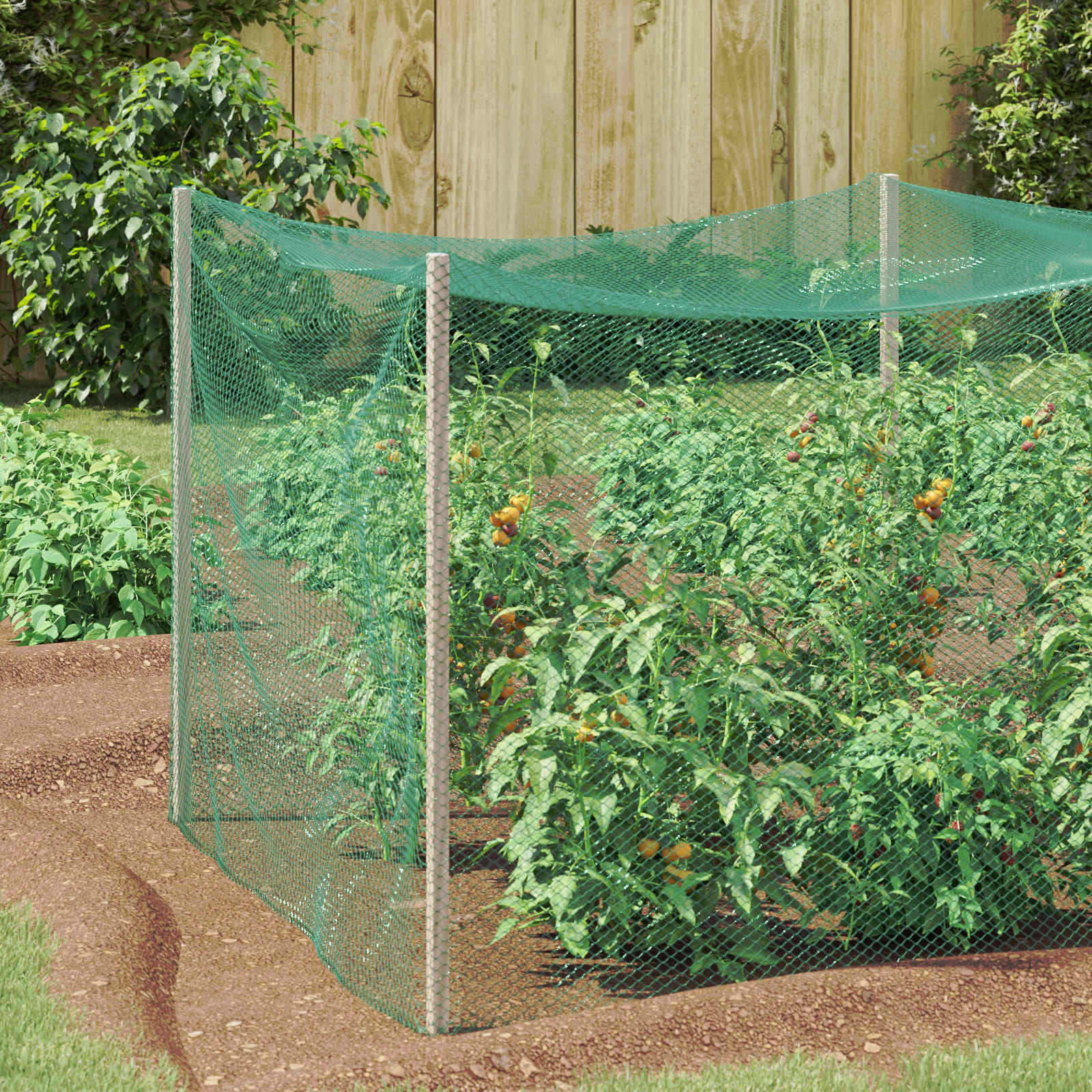 vidaXL Vogelschutznetz Grün 2 x 25 m Polyethylen