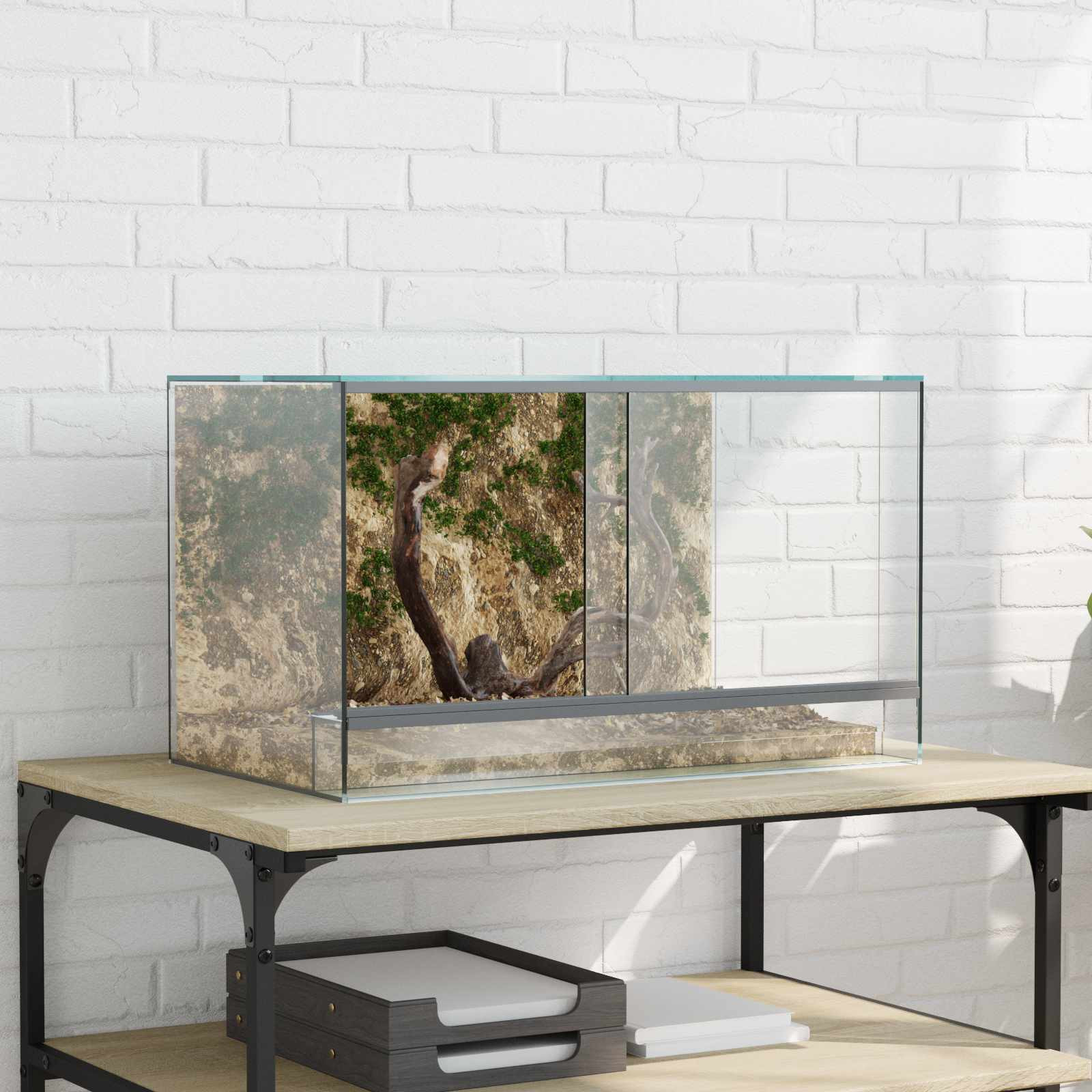 vidaXL Terrarium mit Speicher Transparent 50 x 30 x 30 cm Glas