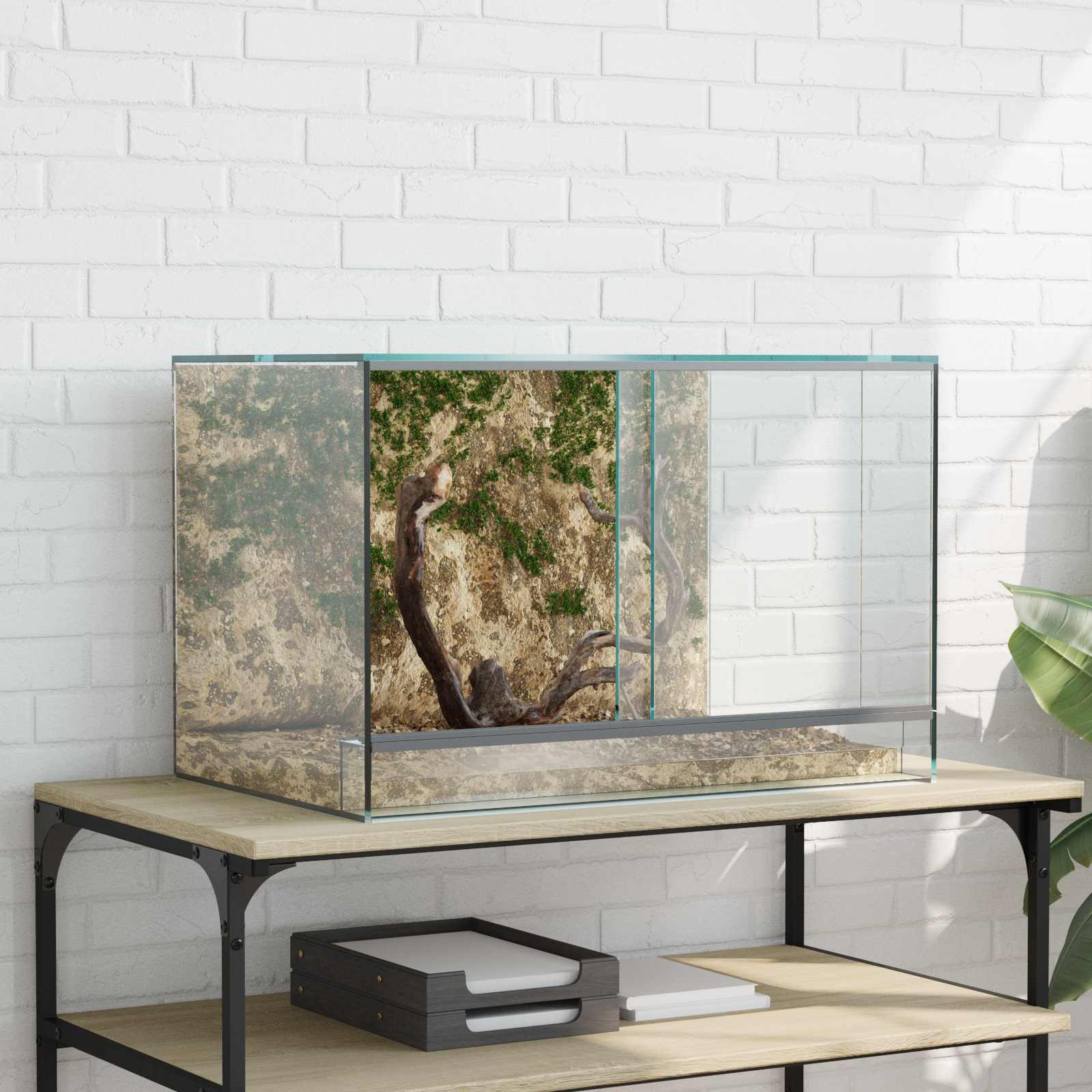 vidaXL Terrarium mit Speicher Transparent 60 x 40 x 40 cm Glas