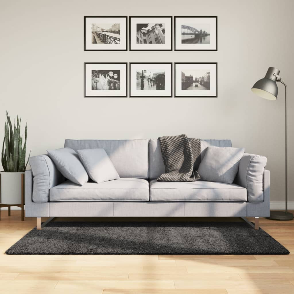 vidaXL Teppich Shaggy Hochflor Modern Anthrazit 120x170 cm