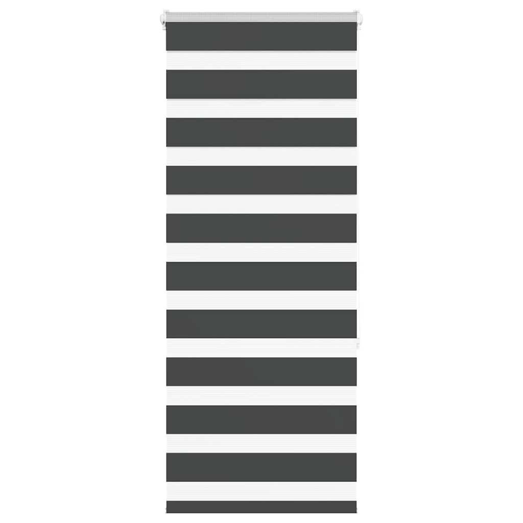 vidaXL Doppelrollo Schwarz 55x150 cm Stoffbreite 50,9 cm Polyester