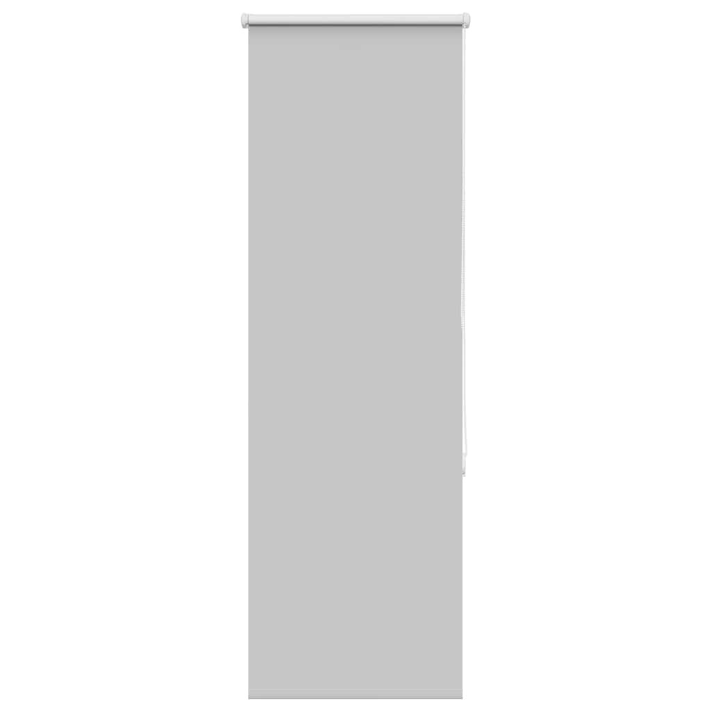 vidaXL Verdunkelungsrollo Hellgrau 40x150cm Stoffbreite 35,7cm