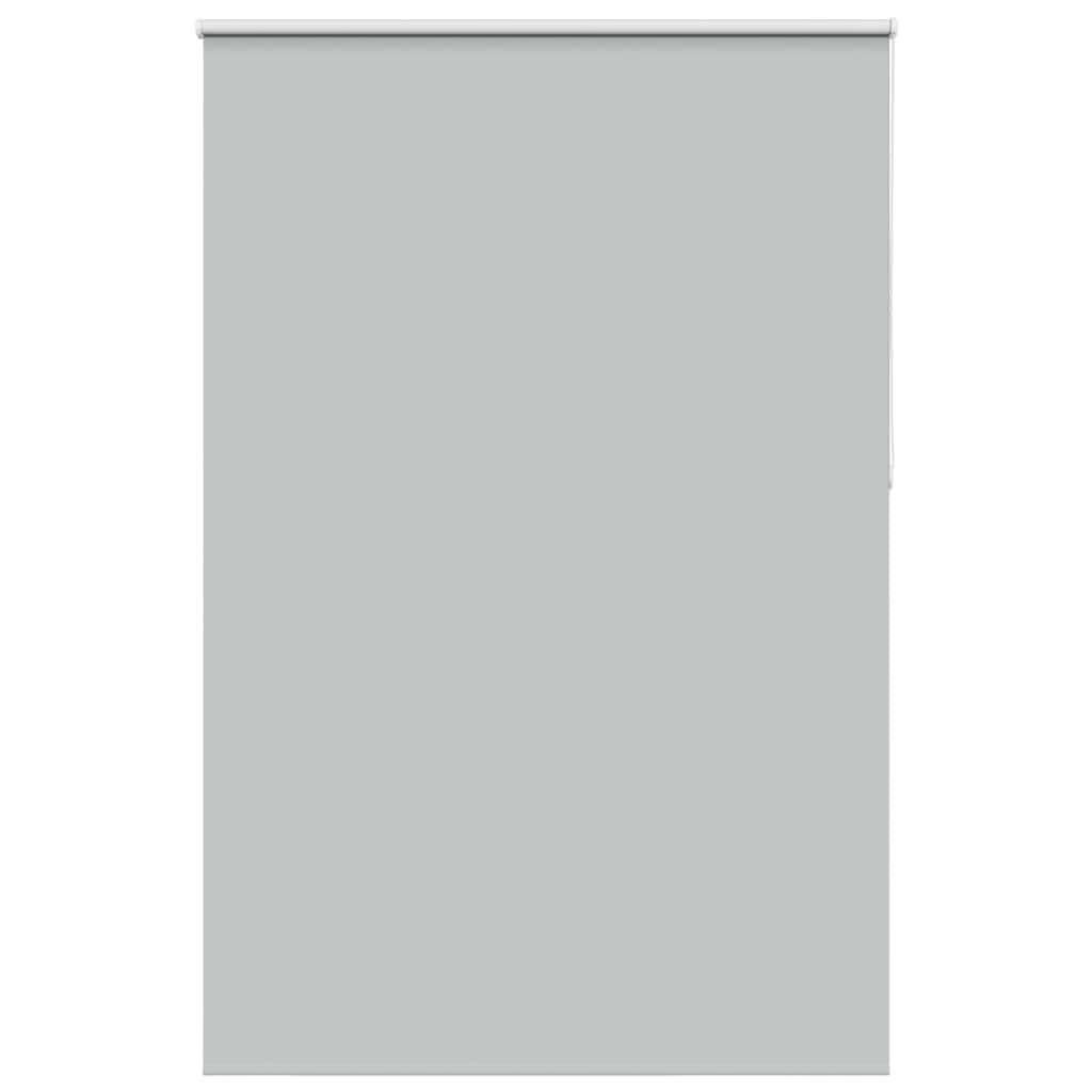 vidaXL Verdunkelungsrollo Hellgrau 165x210cm Stoffbreite 161,6cm
