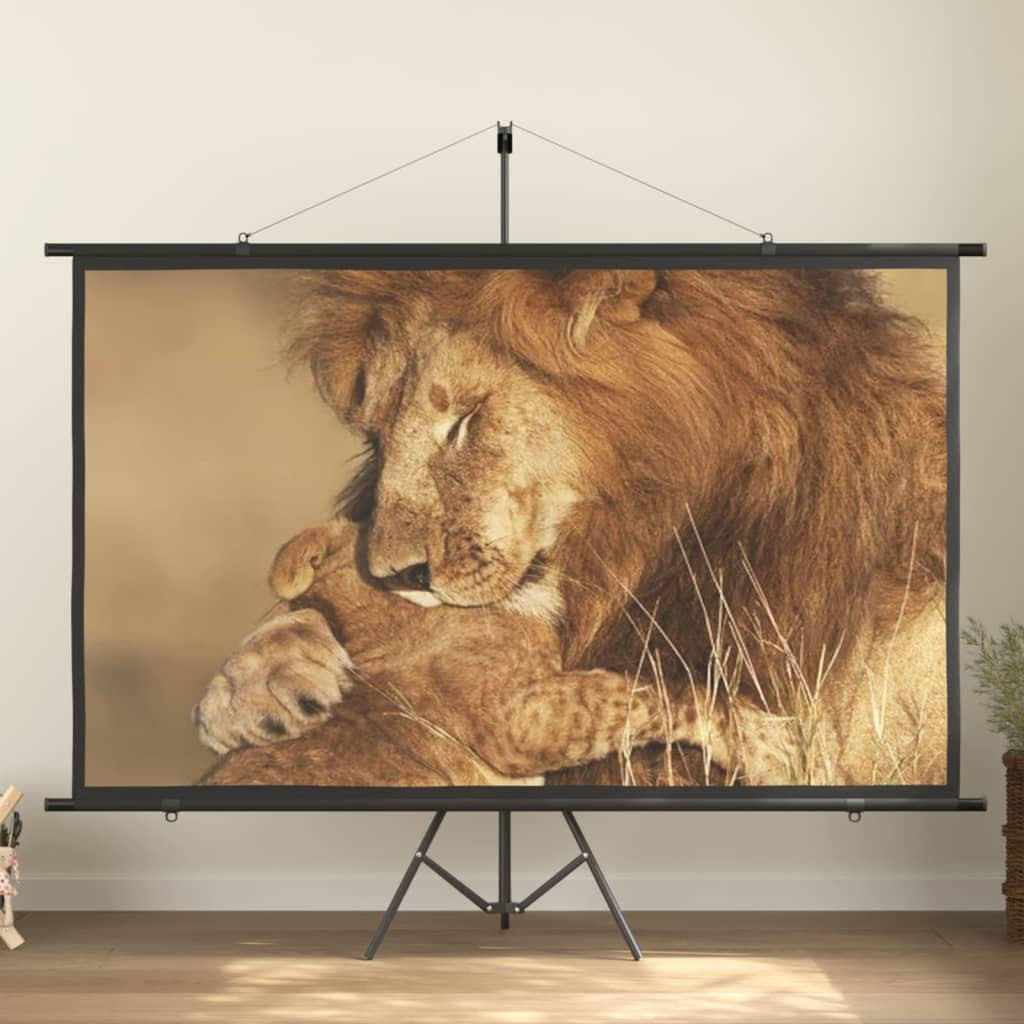 vidaXL Beamer Leinwand 100" 16:9
