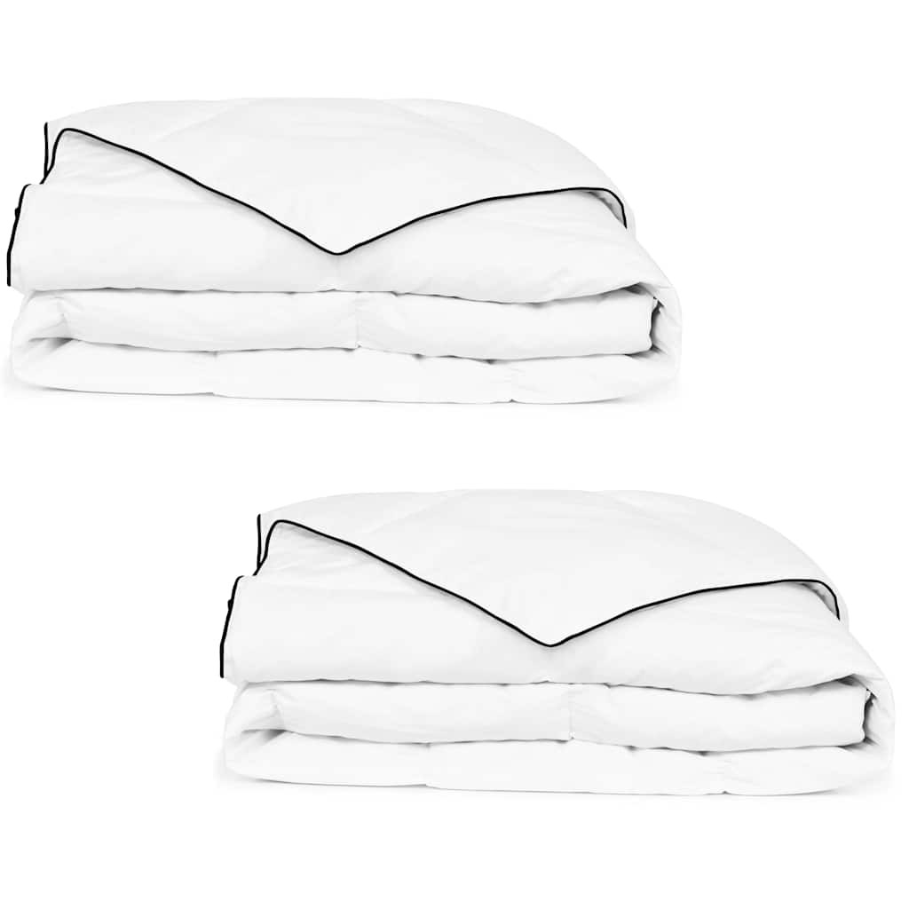 vidaXL Winter-Daunendecke 2 Stk. 140x200 cm
