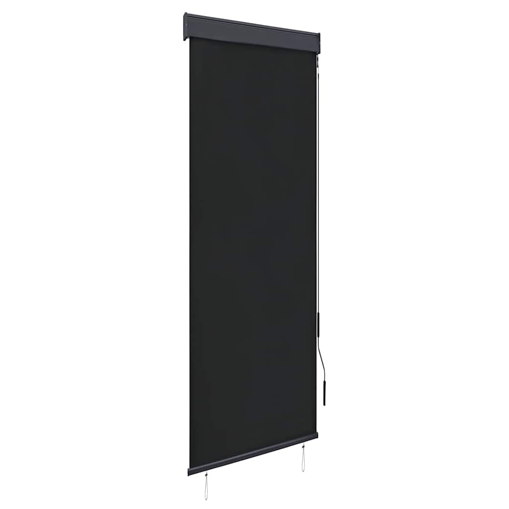 vidaXL Außenrollo 60 x 250 cm Anthrazit