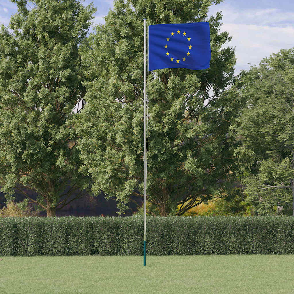 vidaXL Europaflagge mit Mast 6,08 m Aluminium