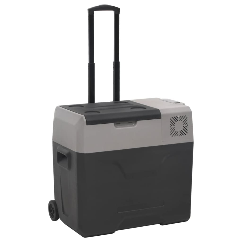 vidaXL Kühlbox mit Rollen und Griff Schwarz & Grau 30 L Polypropylen