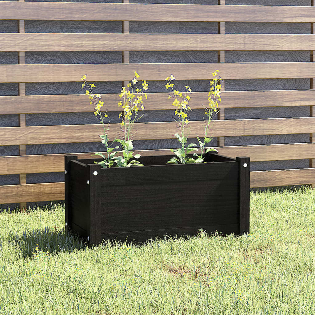 vidaXL Pflanzkübel Schwarz 60x31x31 cm Massivholz Kiefer