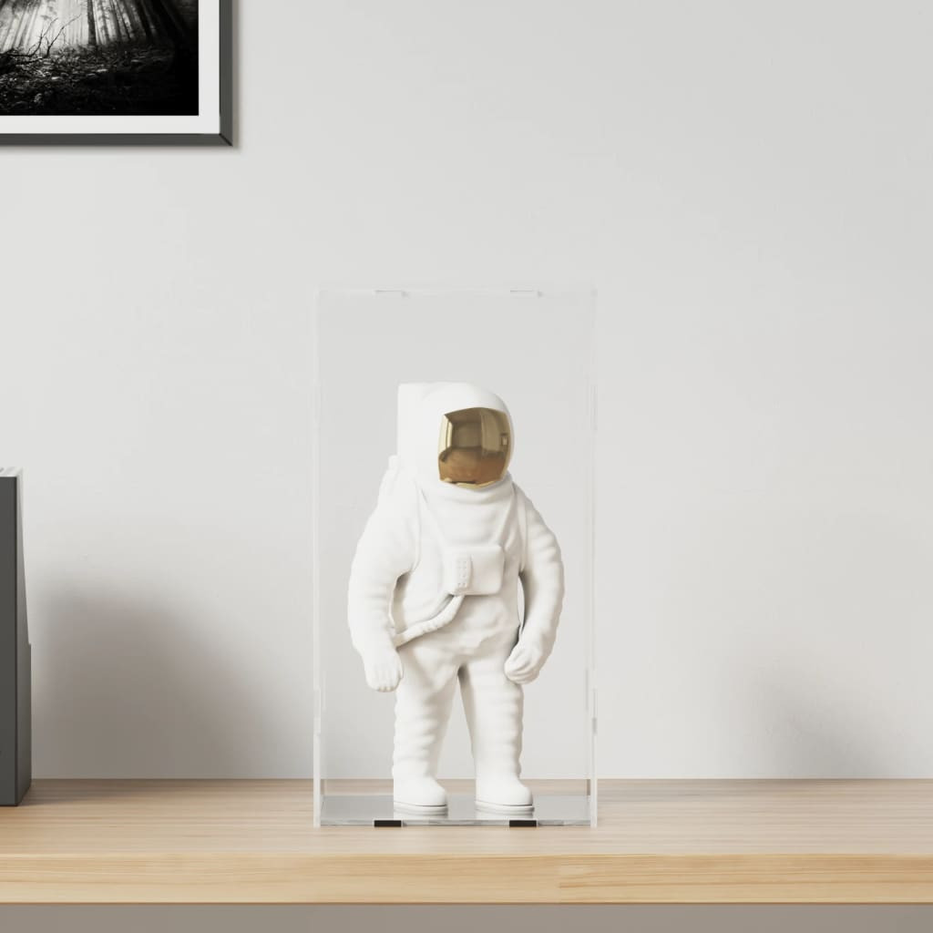 vidaXL Displaybox Transparent 20x20x38 cm Acryl