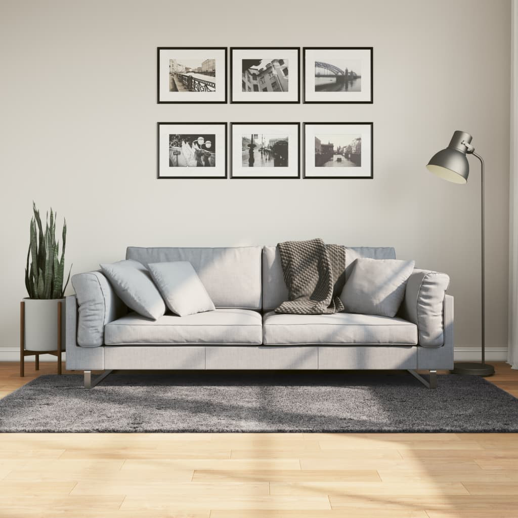 vidaXL Teppich HUARTE Kurzflor Weich und Waschbar Anthrazit 100x200 cm