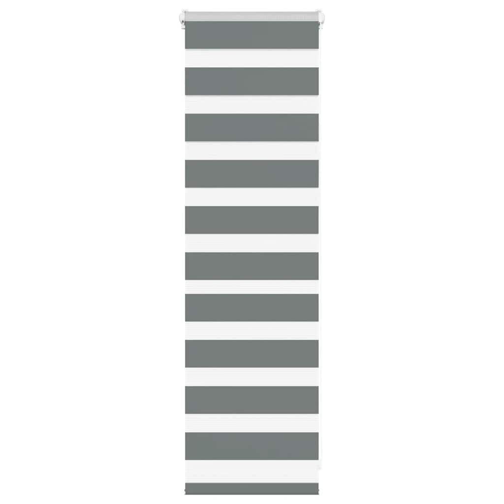 vidaXL Doppelrollo Dunkelgrau 50x100 cm Stoffbreite 45,9 cm Polyester