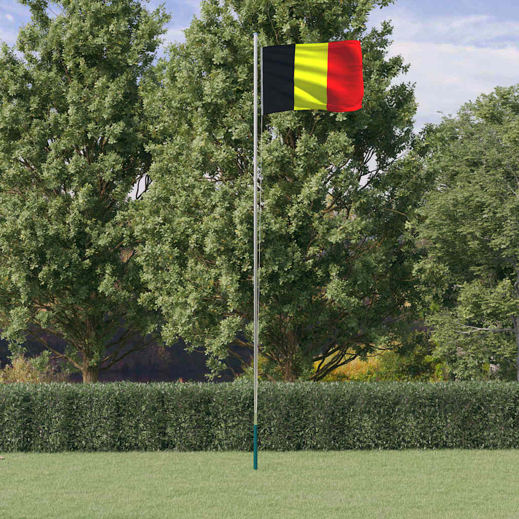 vidaXL Belgische Flagge mit Mast 6,08 m Aluminium