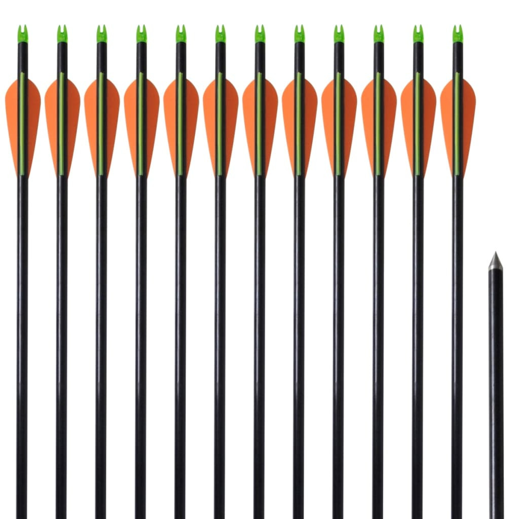 vidaXL Compoundbogen-Pfeile 30" 0,8 cm Fiberglas 12 Stk.