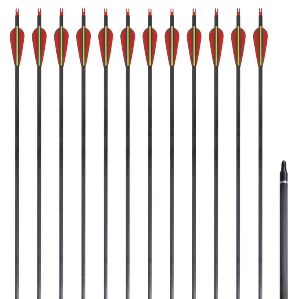 vidaXL Recurvebogen-Pfeile 30" 0,76 cm Carbon 12 Stk.