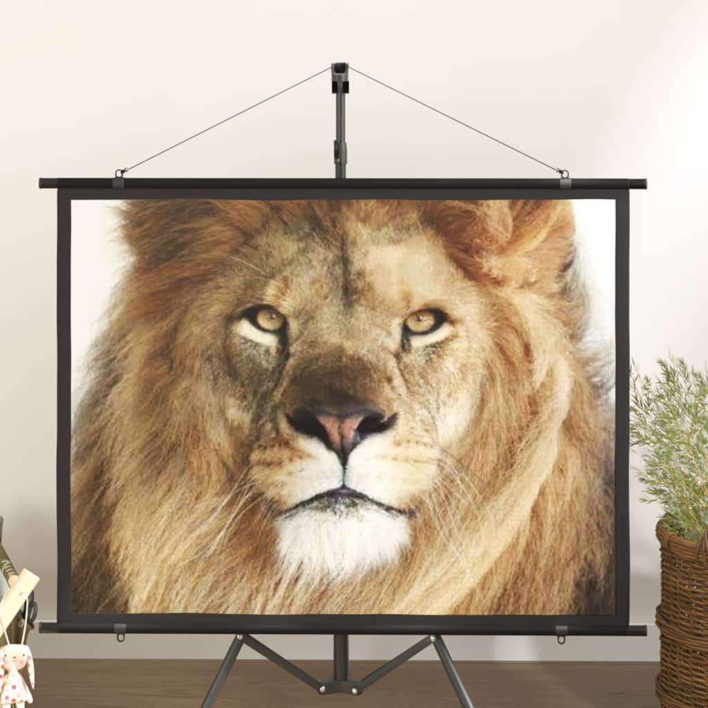 vidaXL Beamer Leinwand 60" 4:3