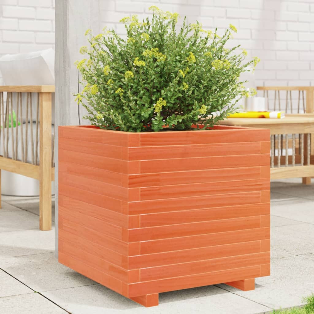 vidaXL Pflanzkübel Wachsbraun 50x50x49,5 cm Massivholz Kiefer