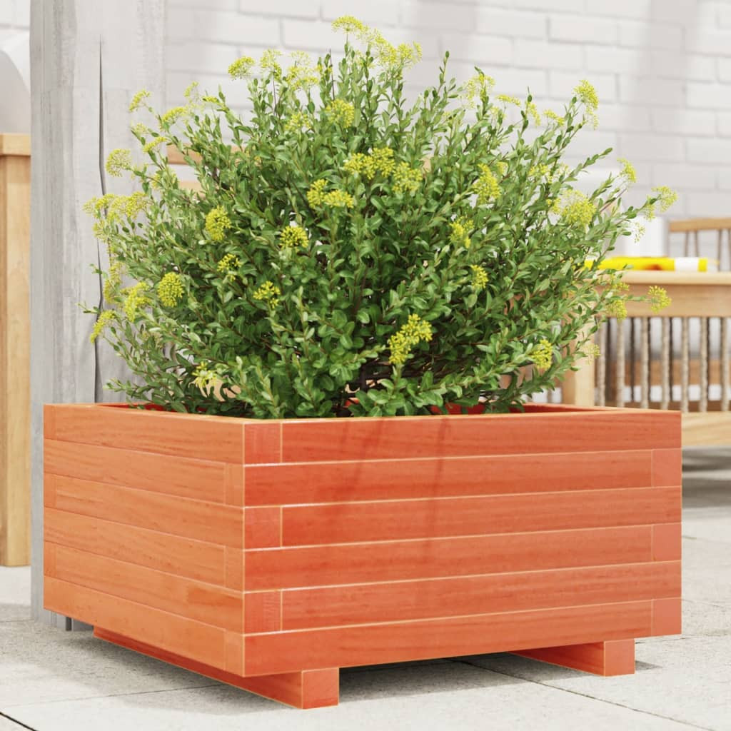 vidaXL Pflanzkübel Wachsbraun 50x50x26,5 cm Massivholz Kiefer