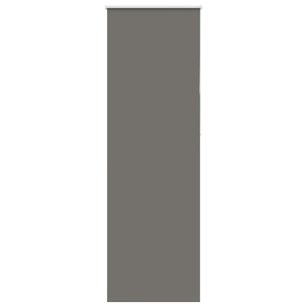 vidaXL Verdunkelungsrollo Grau 70x210 cm Stoffbreite 65,7 cm Polyester
